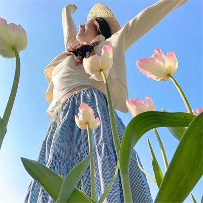 《秘密手稿》海报